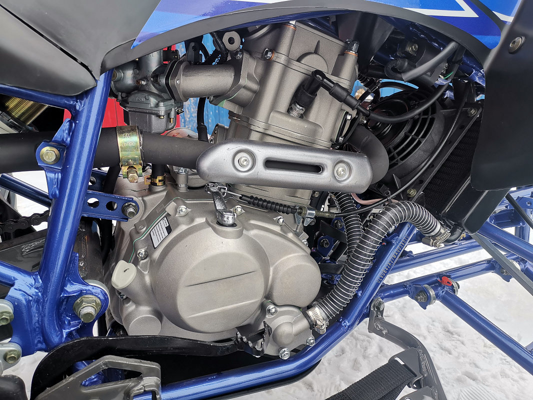 Квадроцикл PROMAX RAPTOR 300 NEW RedBull в Омске