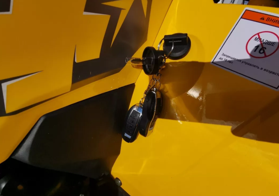 Квадроцикл MOTOLAND (МОТОЛЕНД) VOX200 WILD TRACK X PRO (баланс. вал) в Омске