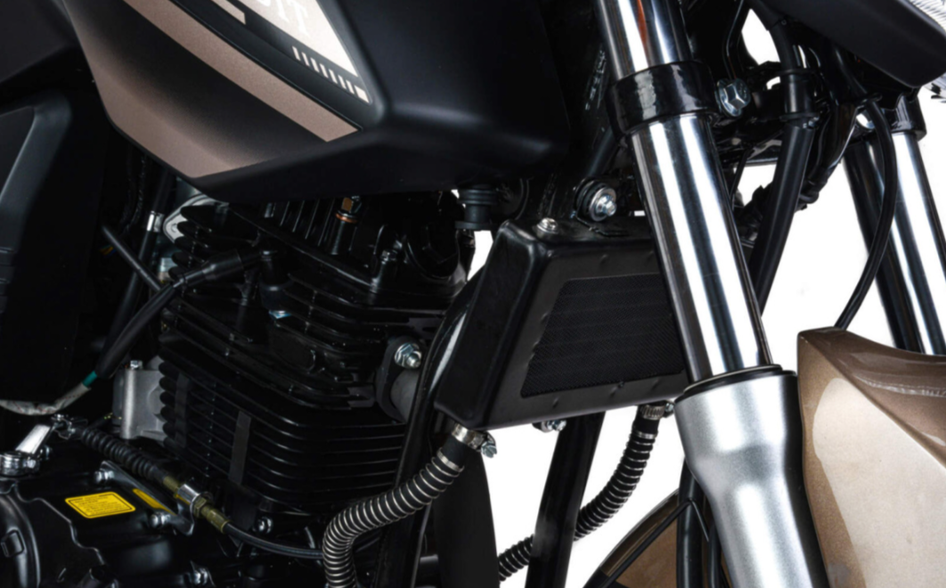 Мотоцикл MOTOLAND (МОТОЛЕНД) 300 BANDIT в Омске