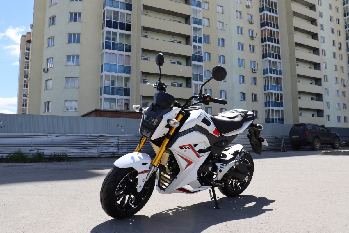 Мотоцикл PROMAX STRYKER 200(49) 2.0 в Омске
