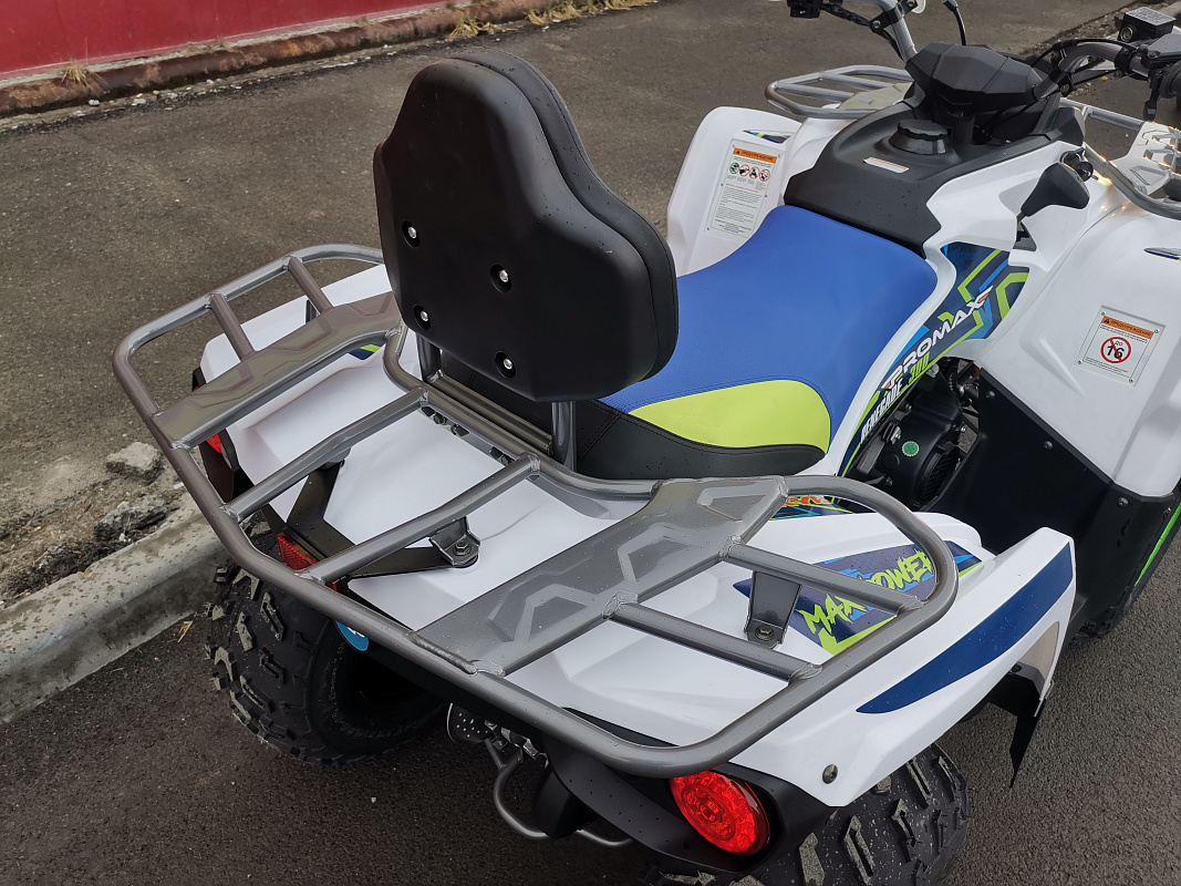 Квадроцикл PROMAX RENEGADE 280 LUX (2025) в Омске