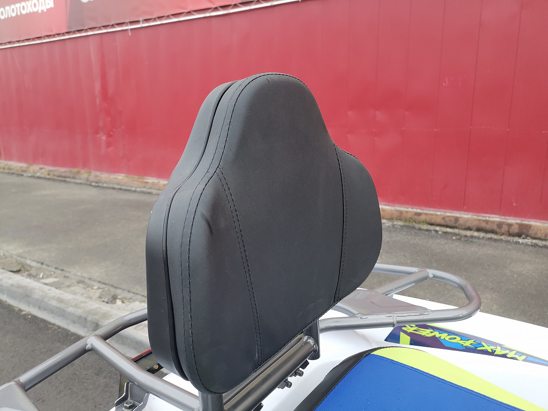 Квадроцикл PROMAX RENEGADE 280 LUX (2025) в Омске