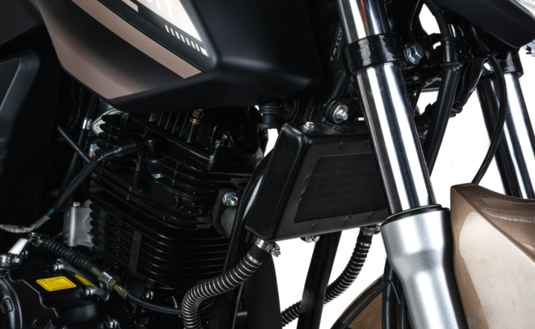 Мотоцикл MOTOLAND (МОТОЛЕНД) 300 BANDIT в Омске