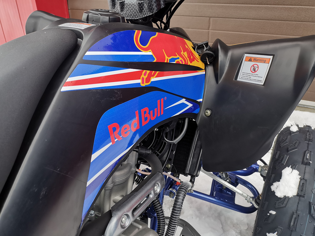 Квадроцикл PROMAX RAPTOR 300 NEW RedBull в Омске