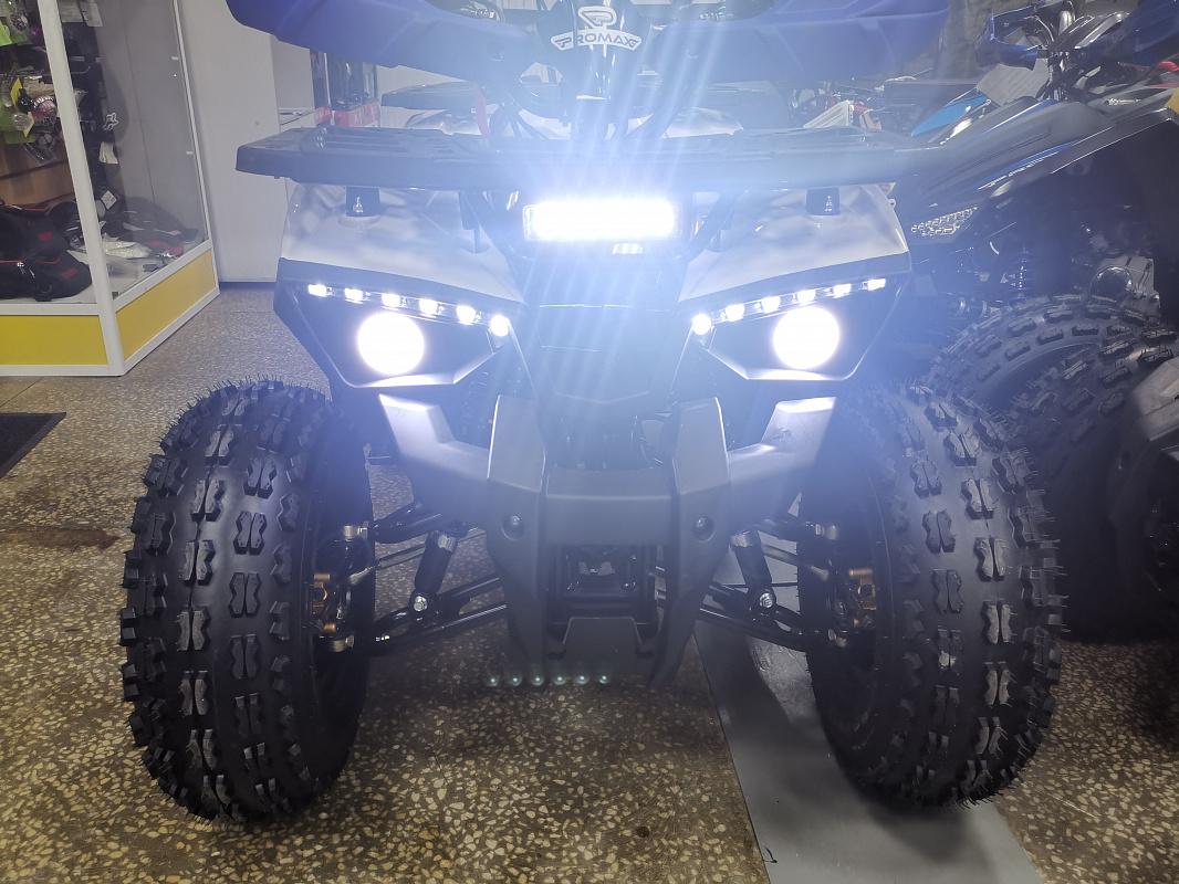 Квадроцикл PROMAX WILD 175 LUX в Омске