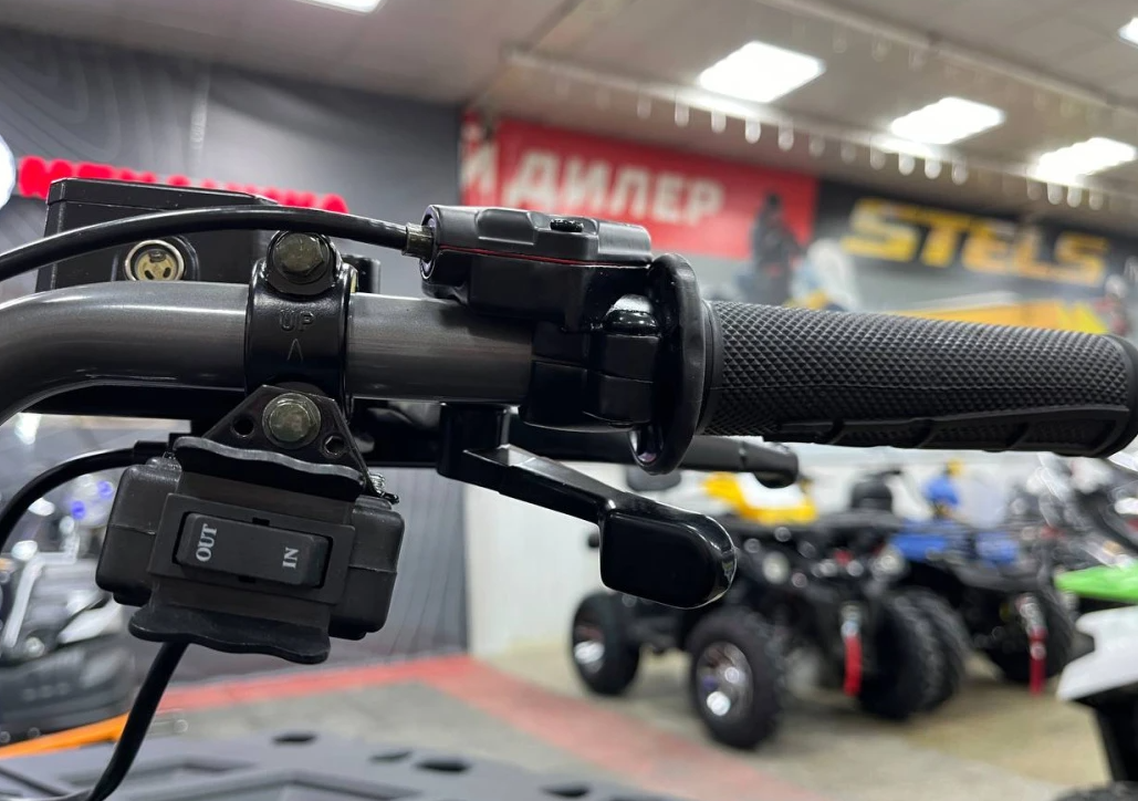 Квадроцикл PROMAX RENEGADE 300 LONG WINCH PRO (2025) в Омске