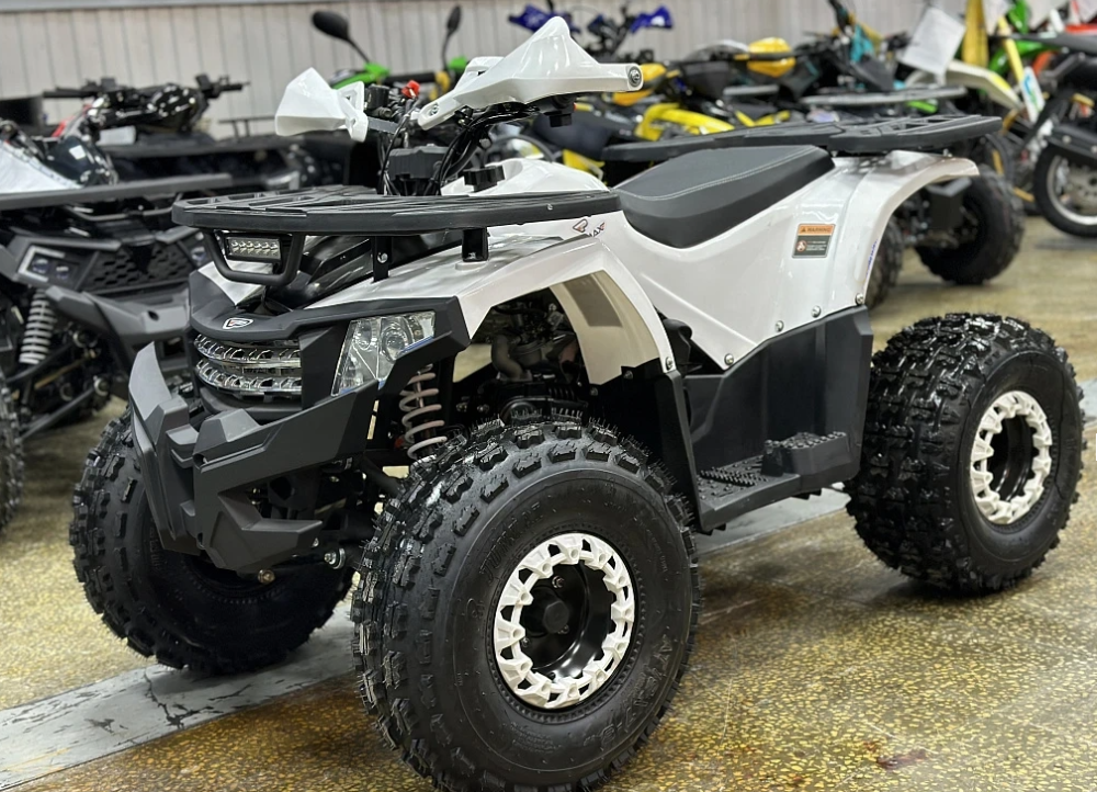 Квадроцикл PROMAX WILD 2.0 190 в Омске