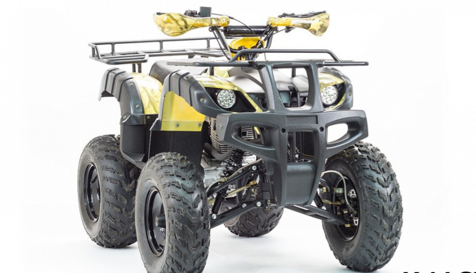 Квадроцикл MOTOLAND (МОТОЛЕНД) 250 ADVENTURE в Омске