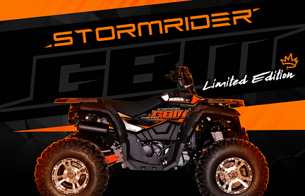 Квадроцикл GBM STORMRIDER 320 NEW LUX в Омске