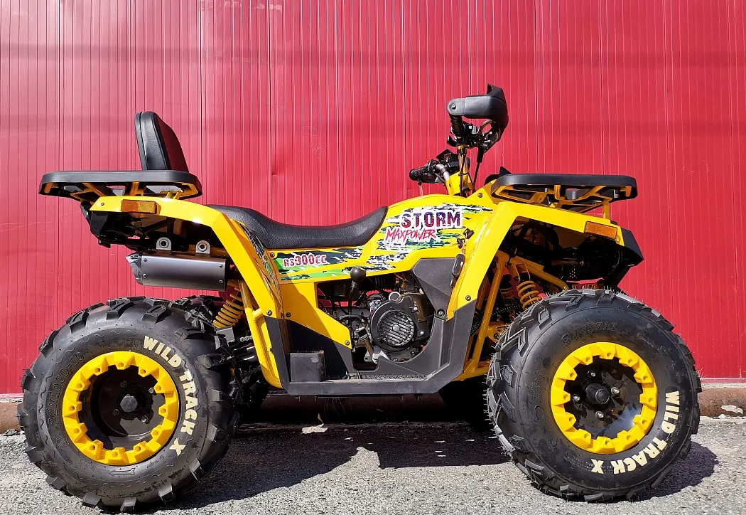 Квадроцикл PROMAX STORM 280 LUX в Омске