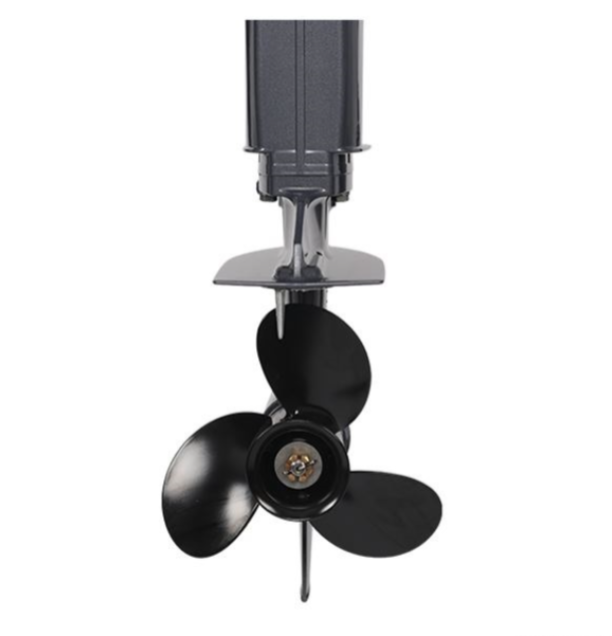 Лодочный мотор ALLFA CG Т40FW S в Омске