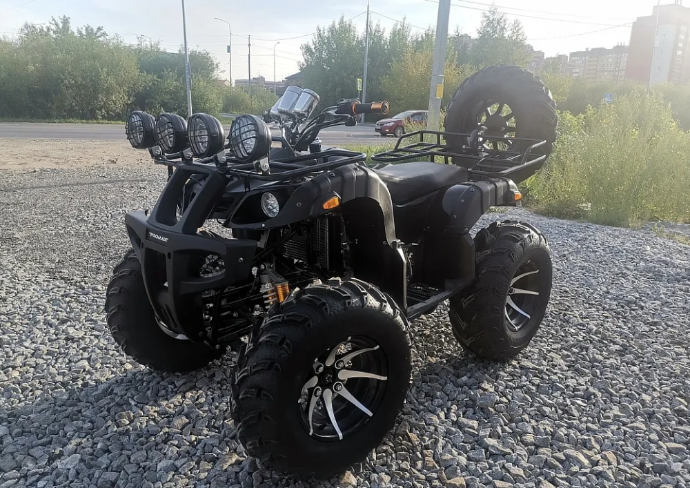Квадроцикл PROMAX LEO 300 Max (кардан) в Омске