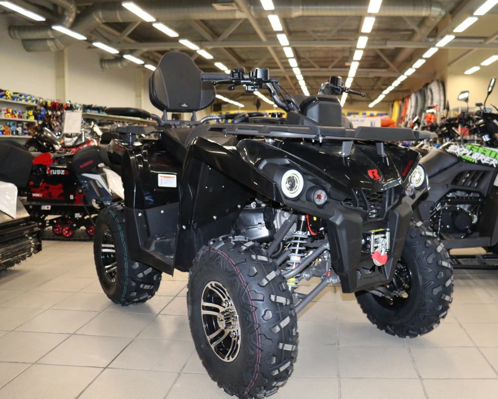 Квадроцикл PROMAX RENEGADE 300 LONG WINCH PRO (2025) в Омске