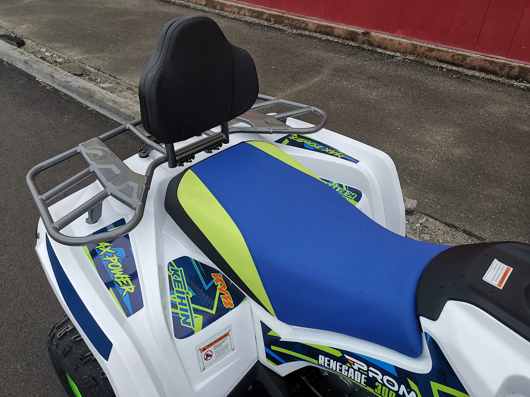 Квадроцикл PROMAX RENEGADE 280 LUX (2025) в Омске