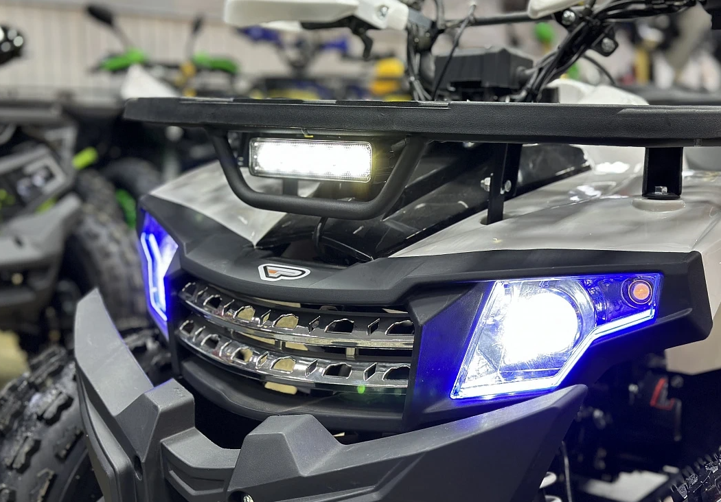 Квадроцикл PROMAX WILD 2.0 190 в Омске