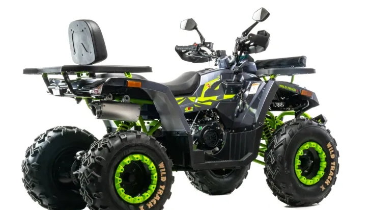 Квадроцикл MOTOLAND (МОТОЛЕНД) VOX200 WILD TRACK X WINCH (баланс. вал) в Омске