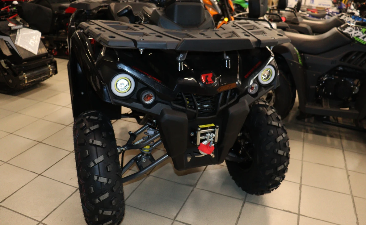 Квадроцикл PROMAX RENEGADE 300 LONG WINCH PRO (2025) в Омске