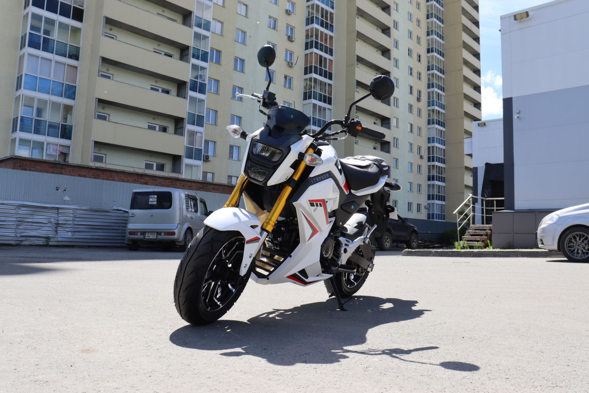 Мотоцикл PROMAX STRYKER 200(49) 2.0 в Омске