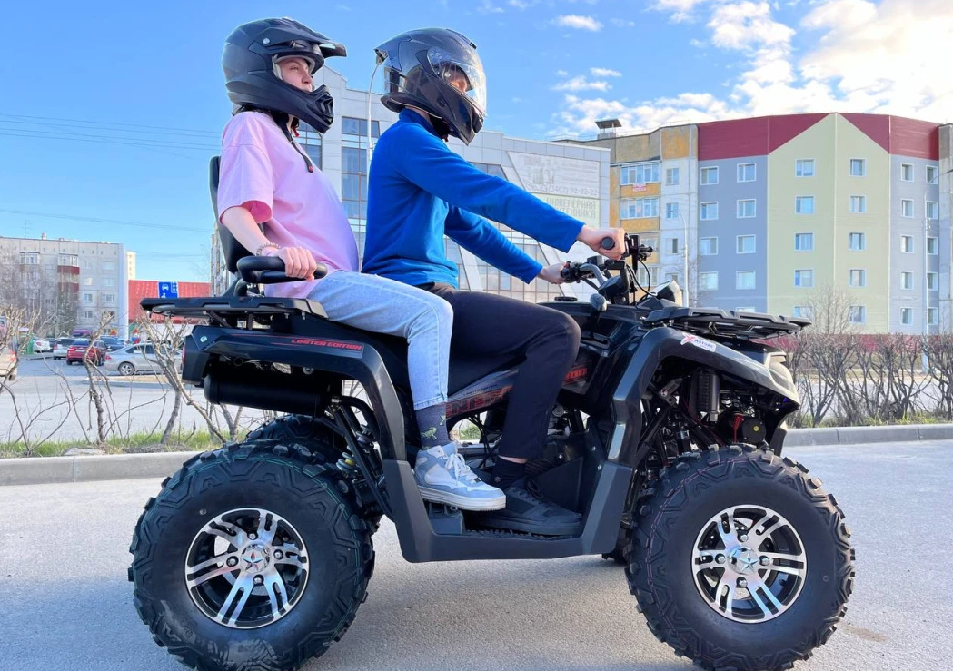 Квадроцикл PROMAX RENEGADE 300 LONG WINCH PRO (2025) в Омске