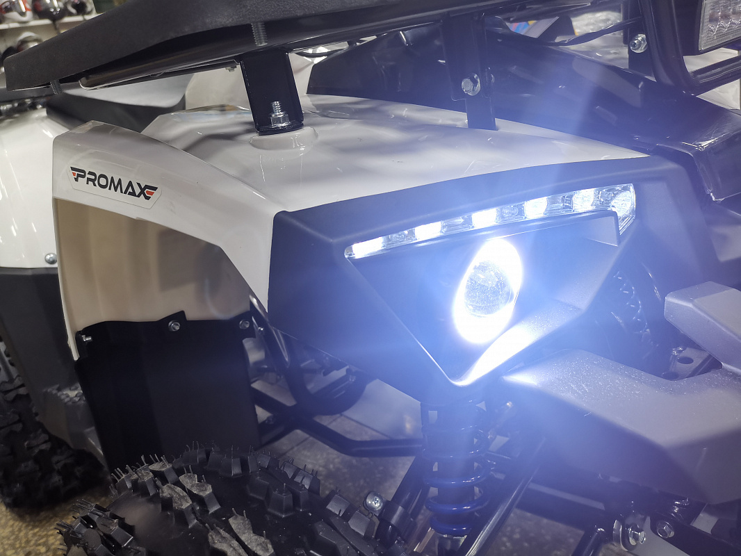 Квадроцикл PROMAX WILD 175 LUX в Омске