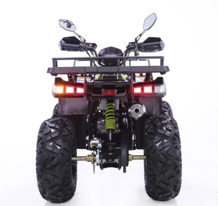 Квадроцикл YACOTA WARRIOR 200 PRO в Омске