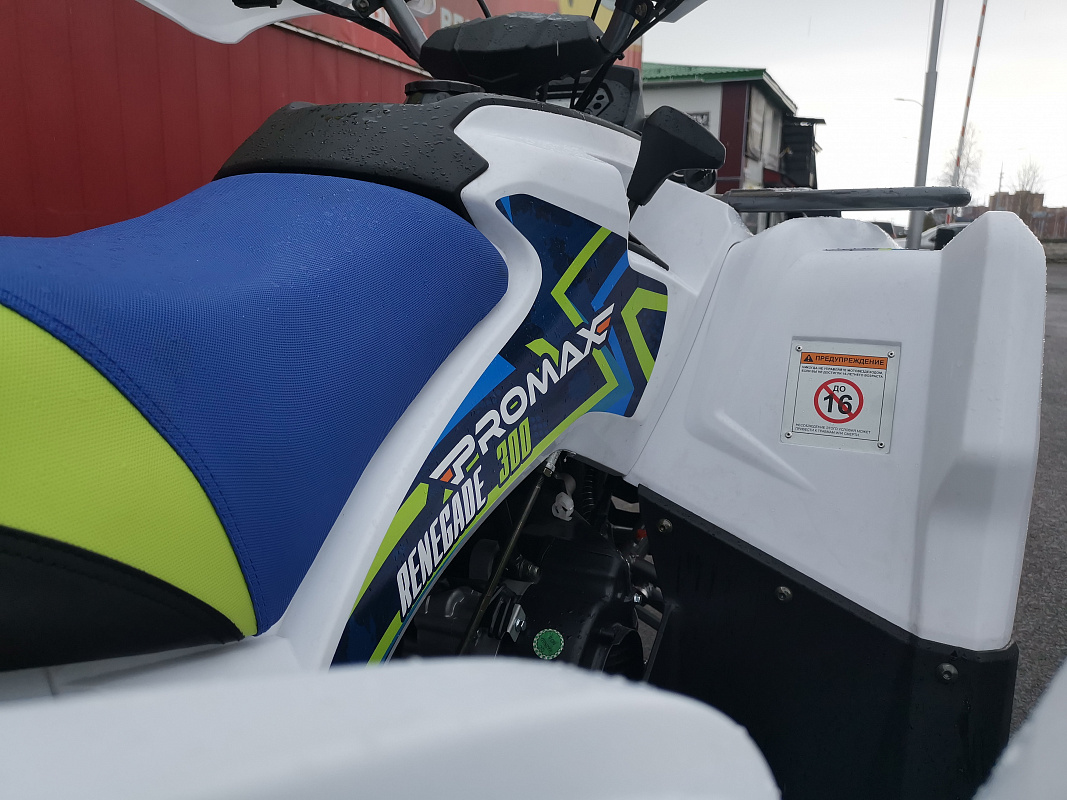 Квадроцикл PROMAX RENEGADE 280 LUX (2025) в Омске