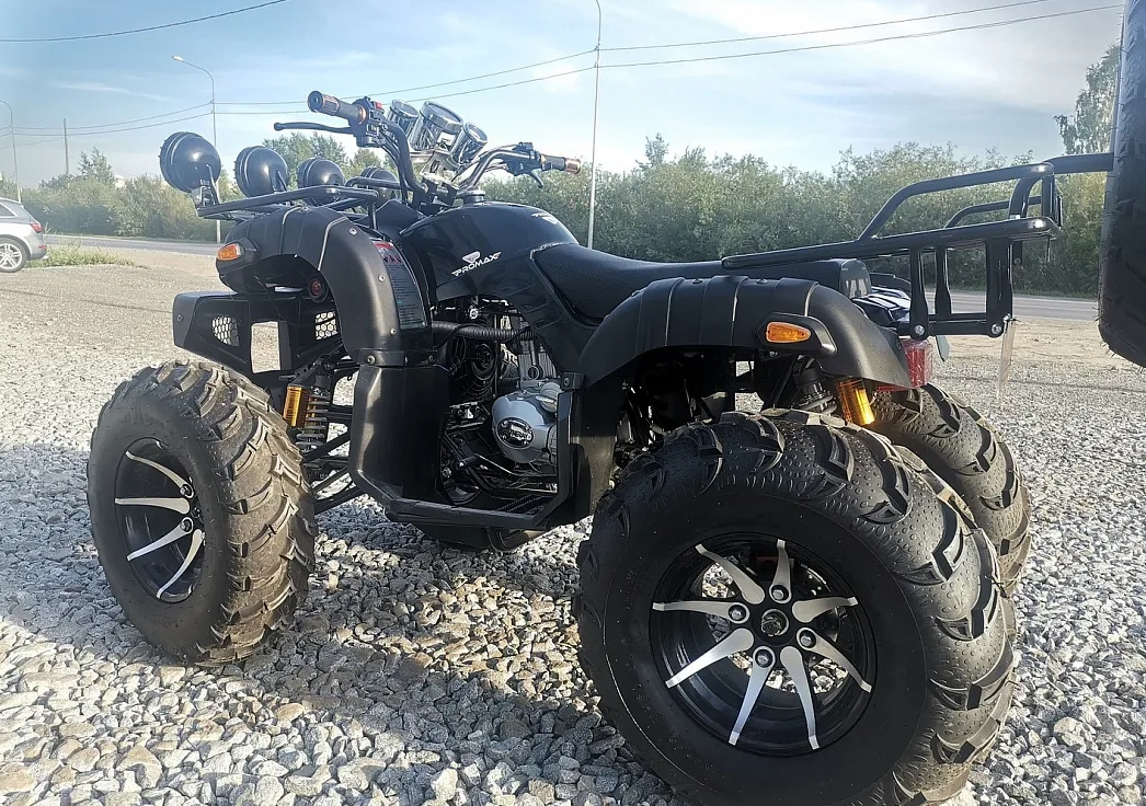 Квадроцикл PROMAX LEO 300 Max (кардан) в Омске