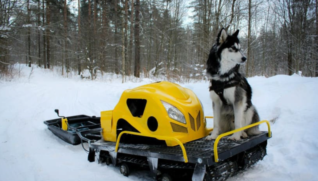 Мотобуксировщик LEBEDEV MOTORS ВОЛКОДАВ POWER V13 в Омске