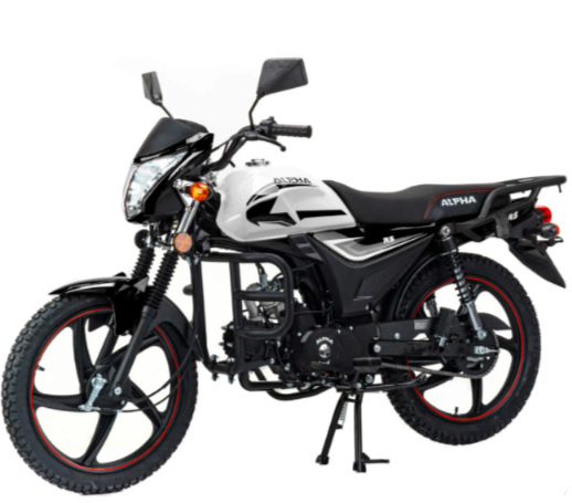 Мопед MOTOLAND (МОТОЛЕНД) Альфа RS 11 (LM48-B) в Омске