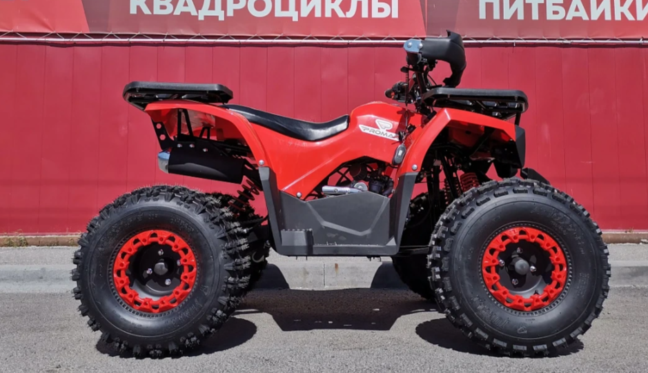 Квадроцикл PROMAX WILD 175 BASIC в Омске