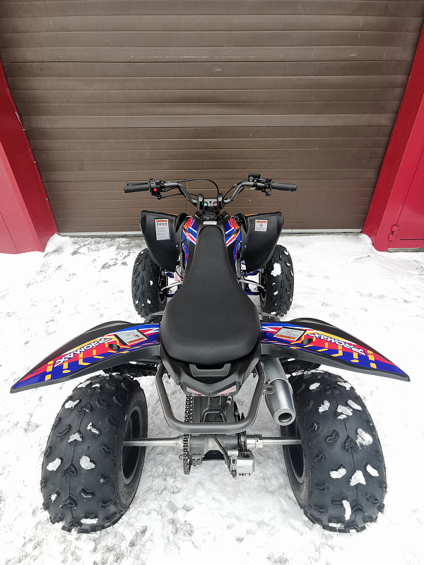 Квадроцикл PROMAX RAPTOR 300 NEW RedBull в Омске