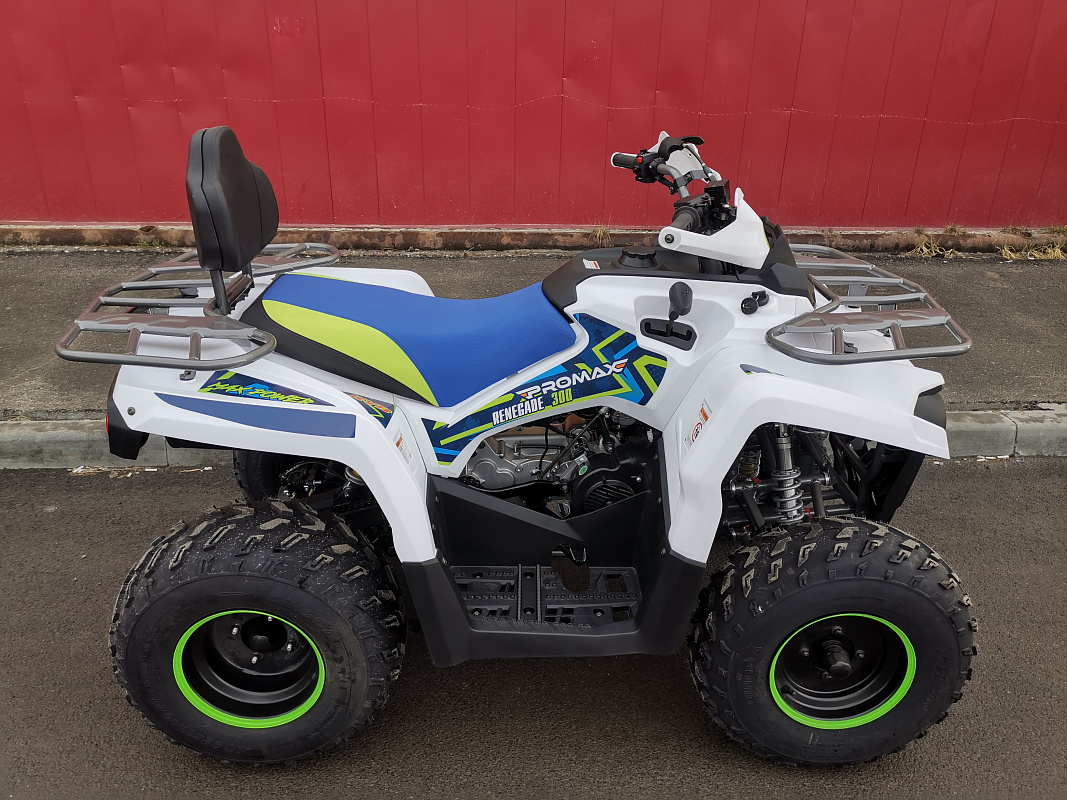 Квадроцикл PROMAX RENEGADE 280 LUX (2025) в Омске