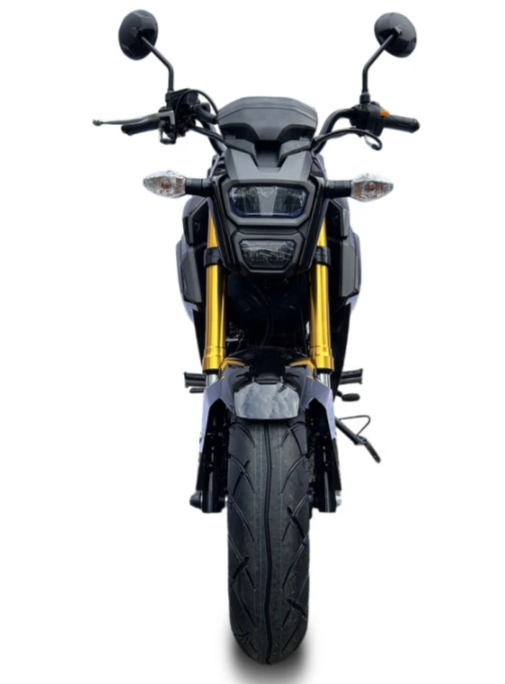 Мотоцикл PROMAX STRYKER 200(49) в Омске