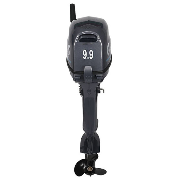 Лодочный мотор ALLFA CG Т9.9(20)MAX в Омске