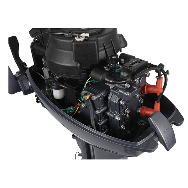 ЛОДОЧНЫЙ МОТОР ALLFA CG Т9,9 Limit в Омске