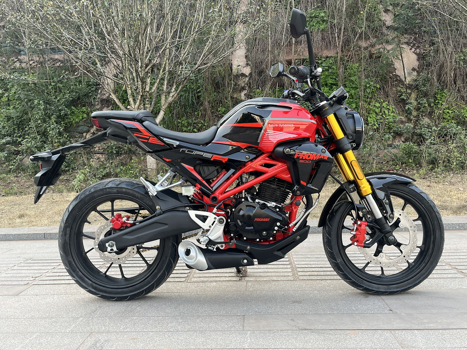 Мотоцикл PROMAX CB300 в Омске