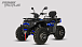 Квадроцикл PROMAX TAURUS 300 MAX-PRO LONG в Омске