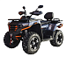Квадроцикл MOTOLAND (МОТОЛЕНД) 300 MAX X в Омске