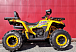 Квадроцикл PROMAX STORM 280 LUX в Омске