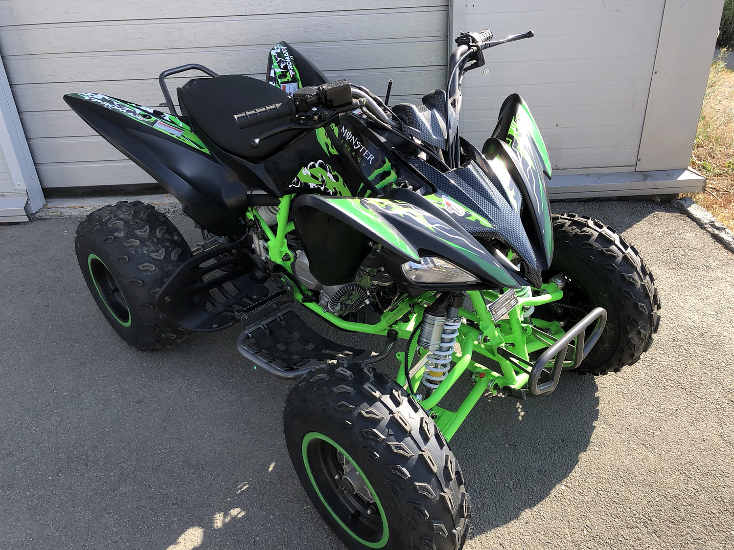 Квадроцикл PROMAX RAPTOR 300 NEW Monster в Омске