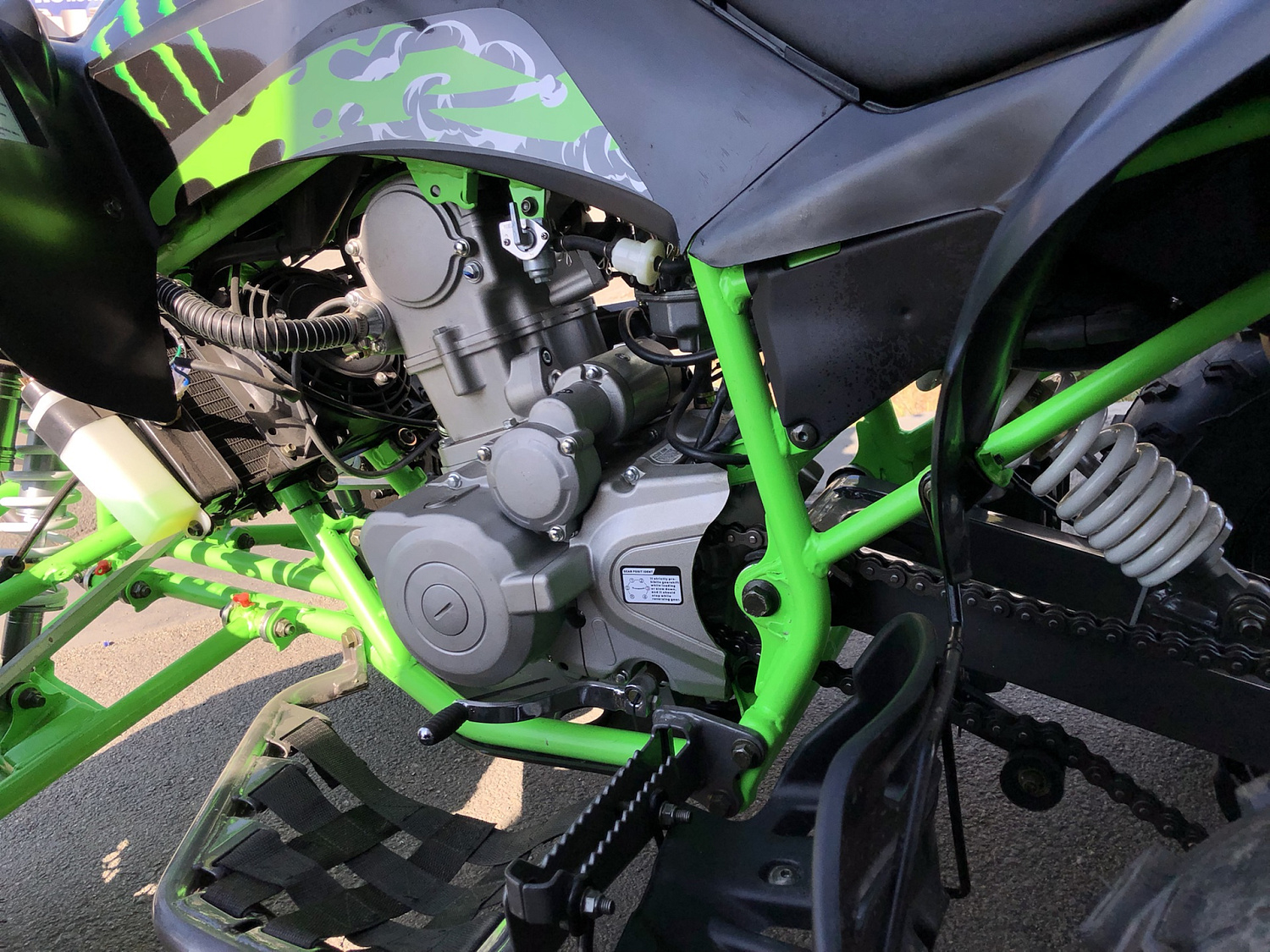 Квадроцикл PROMAX RAPTOR 300 NEW Monster в Омске