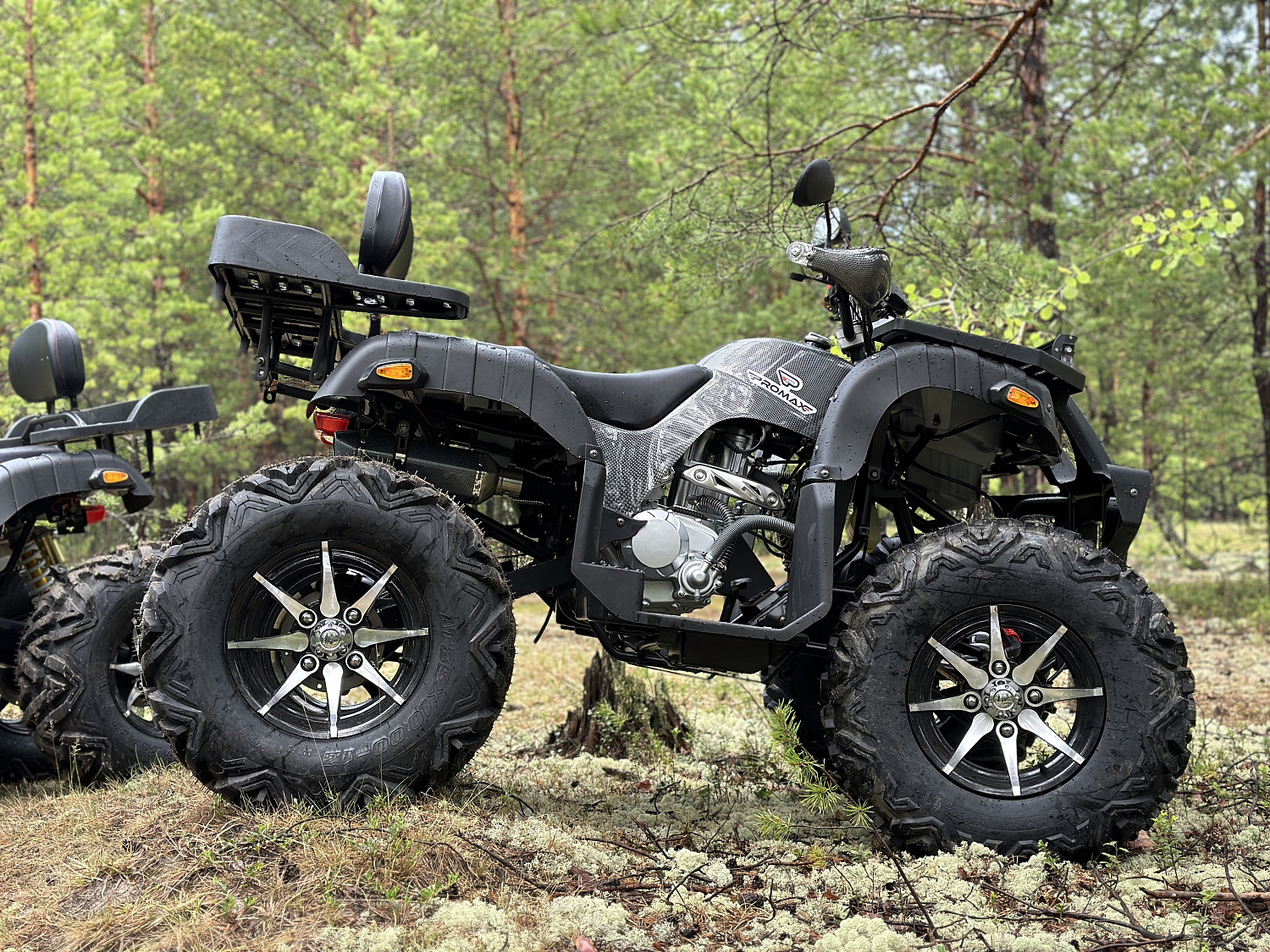 Квадроцикл PROMAX 320 DOMINATOR (2025) в Омске