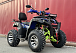  Квадроцикл PROMAX ATV 250 MAX (2025) в Омске