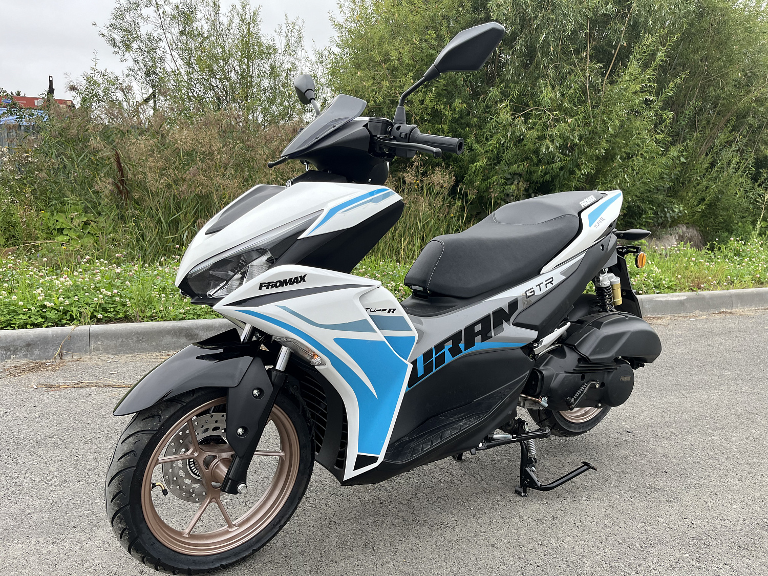 Скутер PROMAX TURAN 250 (49) в Омске