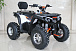 Квадроцикл GBM STORMRIDER 320 PREMIUM в Омске