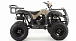 Квадроцикл MOTOLAND (МОТОЛЕНД) 200 ALL ROAD в Омске