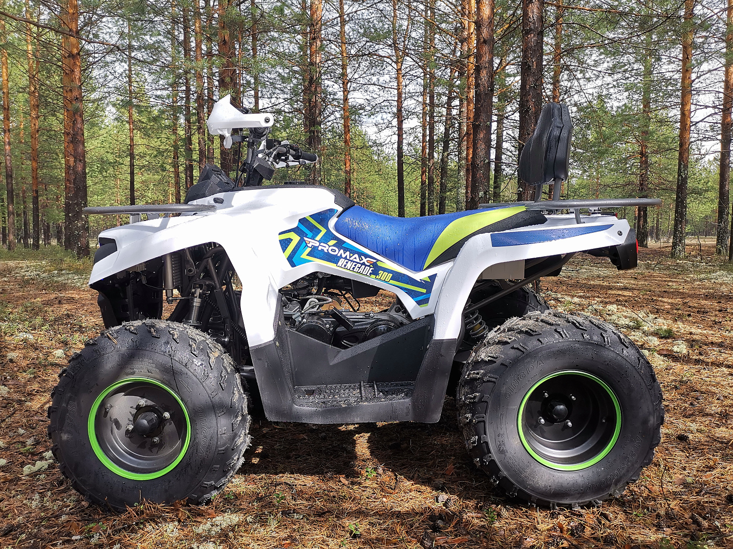 Квадроцикл PROMAX RENEGADE 280 (2025) в Омске