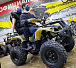 Квадроцикл PROMAX ATV 250 (2025) в Омске