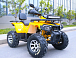 Квадроцикл MOTOLAND (МОТОЛЕНД) VOX200 WILD TRACK X PRO (баланс. вал) в Омске