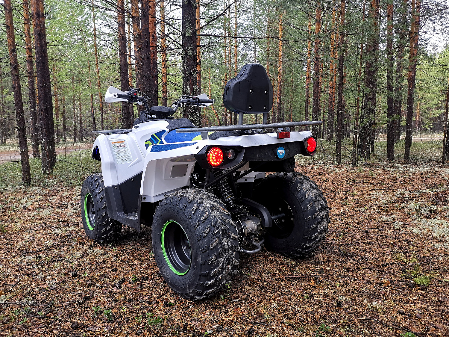 Квадроцикл PROMAX RENEGADE 280 (2025) в Омске